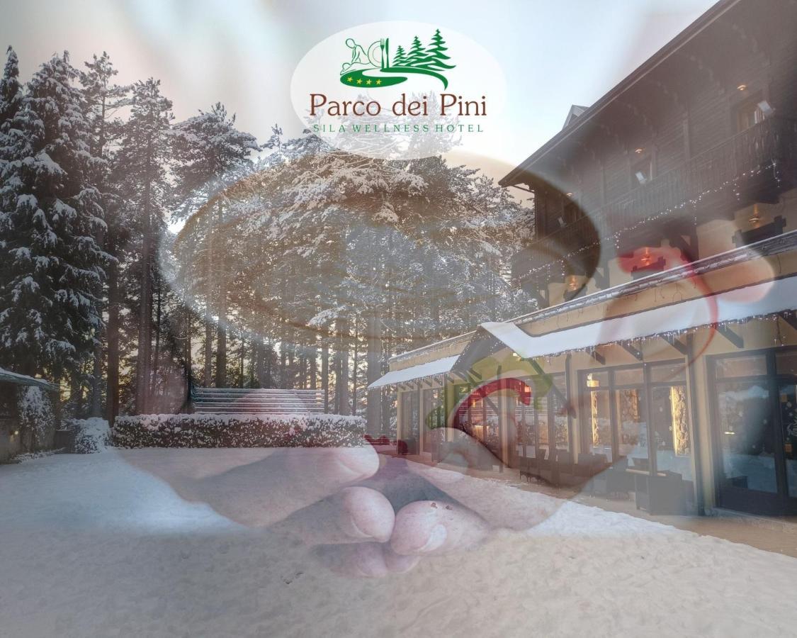 Parco Dei Pini - Sila Wellness Hotel تافيرنا المظهر الخارجي الصورة
