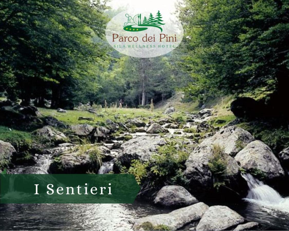 Parco Dei Pini - Sila Wellness Hotel تافيرنا المظهر الخارجي الصورة
