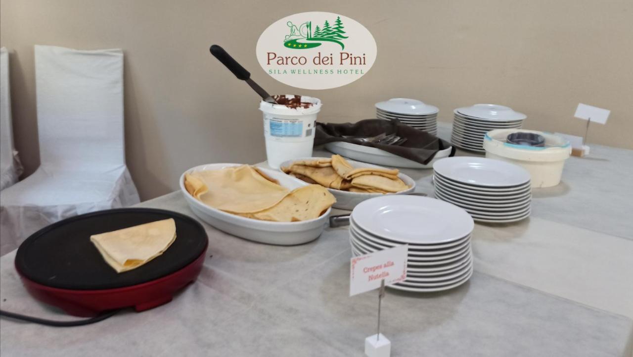 Parco Dei Pini - Sila Wellness Hotel تافيرنا المظهر الخارجي الصورة