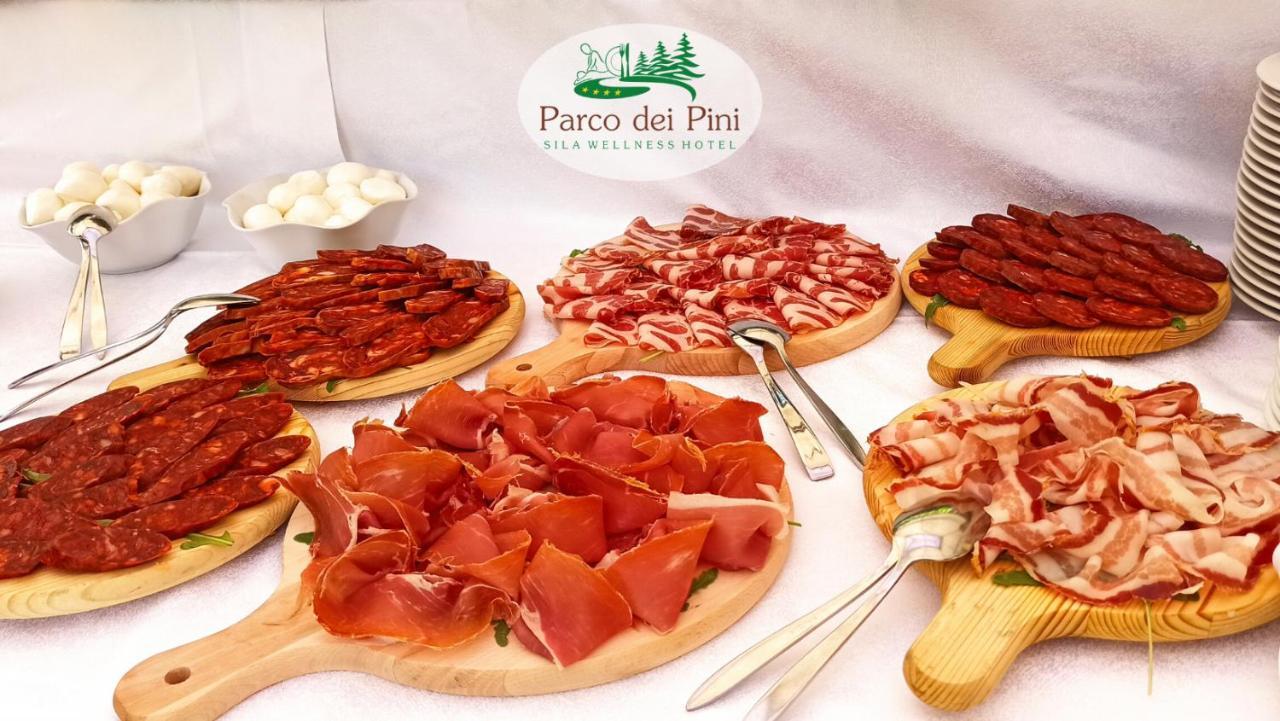 Parco Dei Pini - Sila Wellness Hotel تافيرنا المظهر الخارجي الصورة