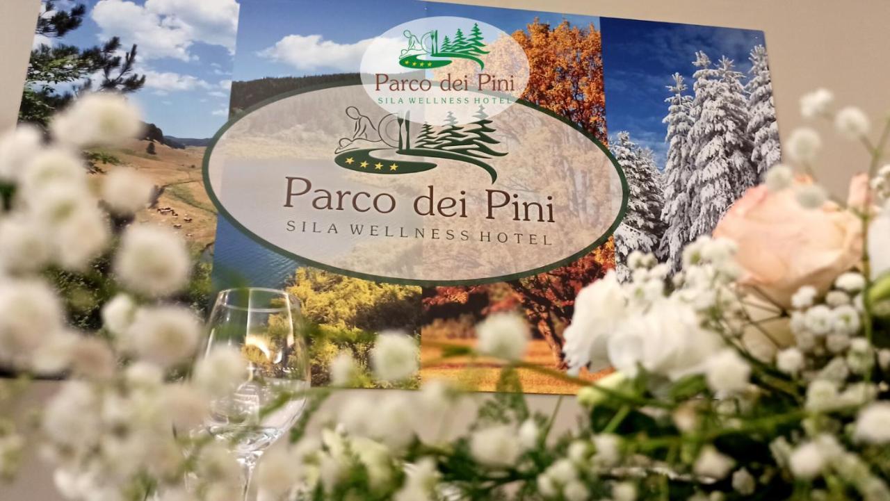 Parco Dei Pini - Sila Wellness Hotel تافيرنا المظهر الخارجي الصورة